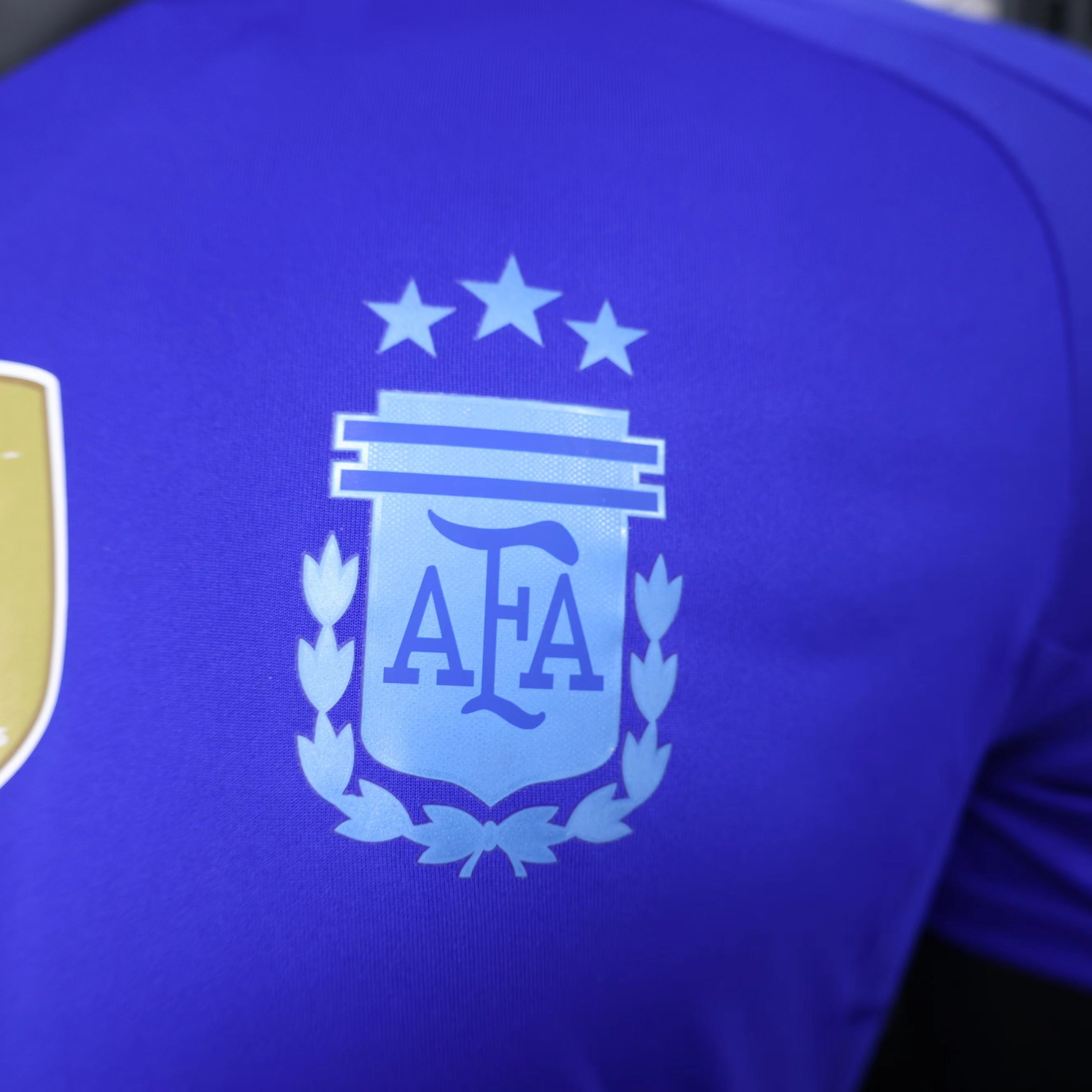 Argentina 2024 |  Copa America | Away