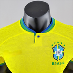 Brazil World Cup |  Home | Player Version