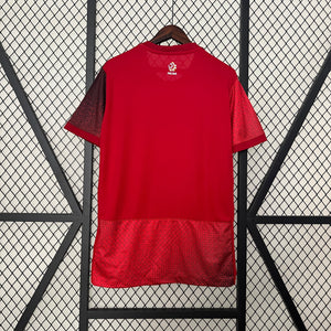 Poland 2024 Football Shirt | Away