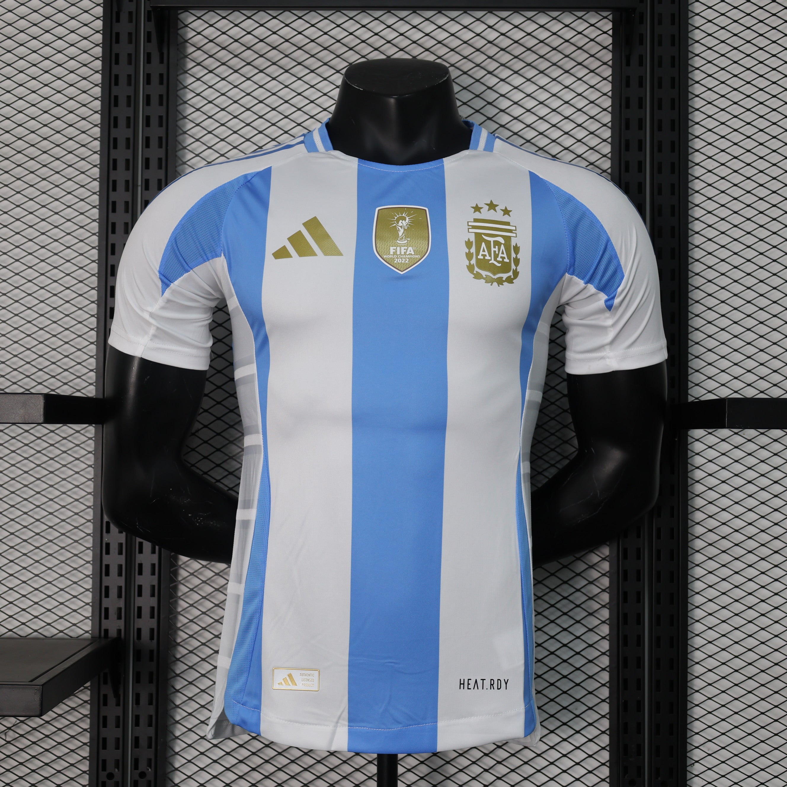 Argentina 2024 |  Copa America | Home