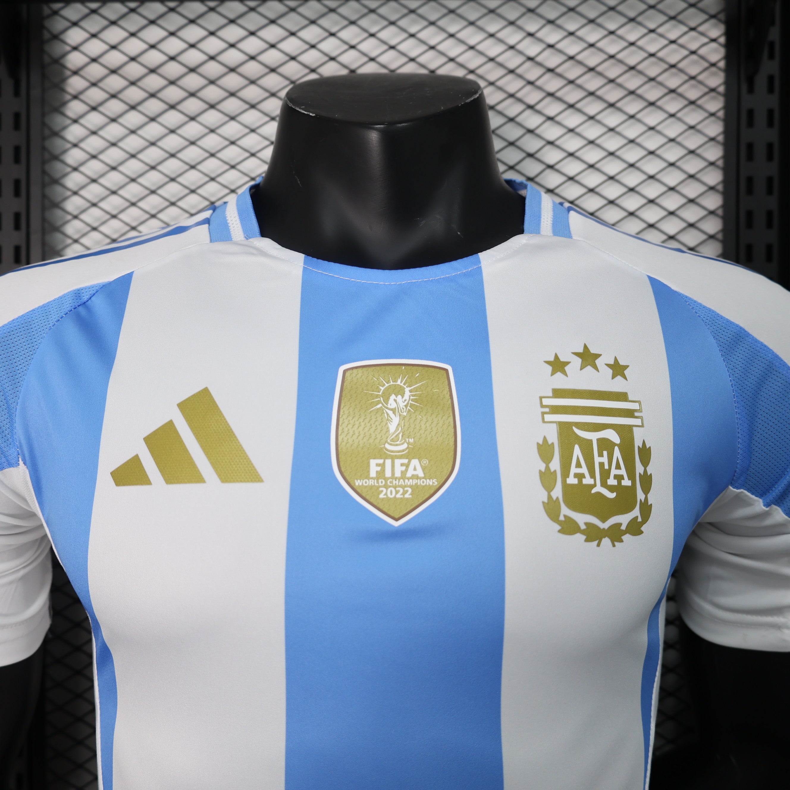 Argentina 2024 |  Copa America | Home